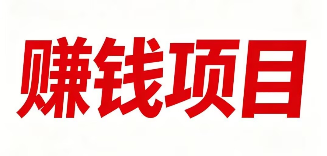 2026全新赚钱项目实体公司